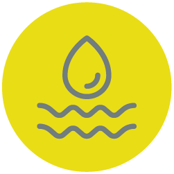 dry skin body lotion